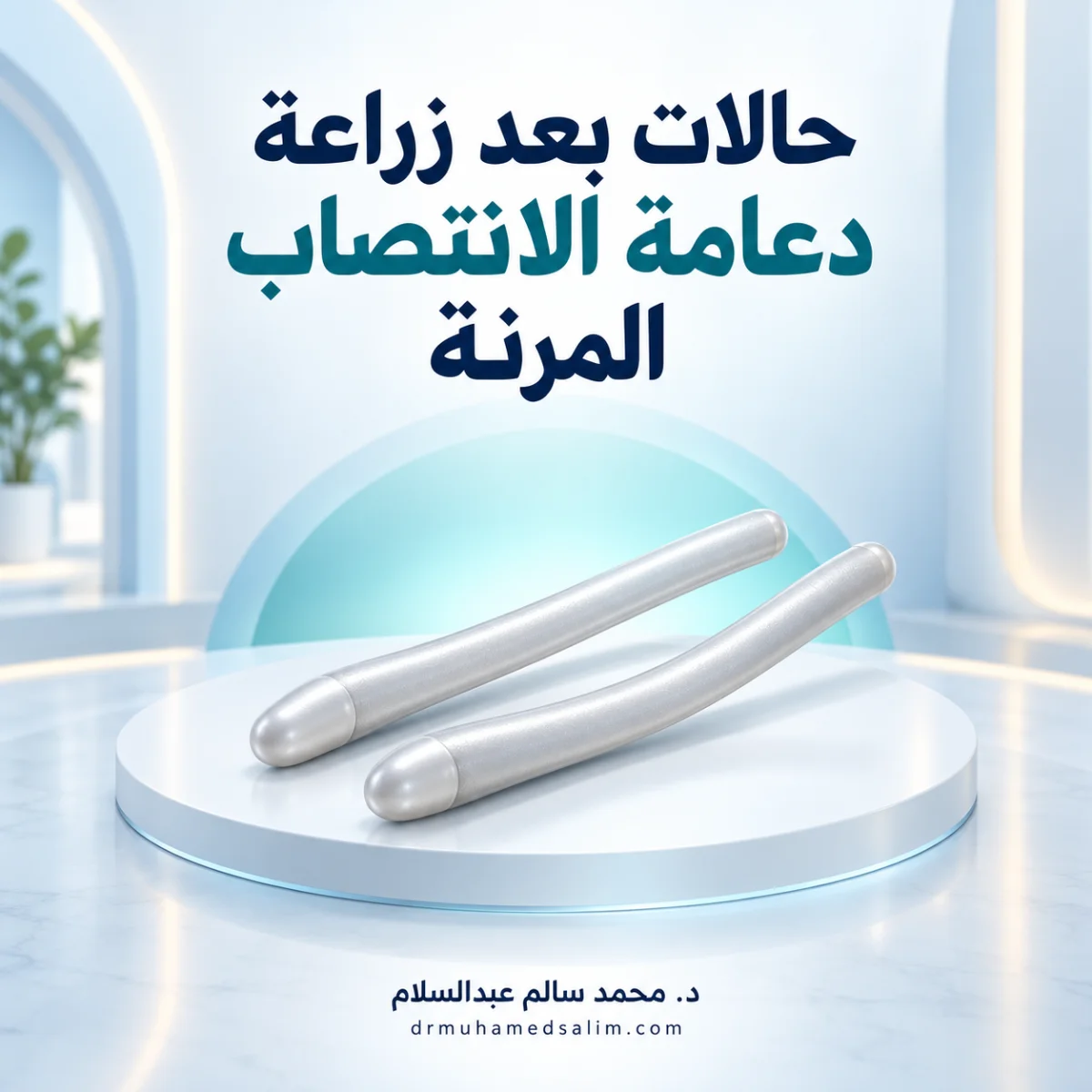 رسم توضيحي لدعامة الانتصاب المرنة لغلاف معرض الحالات